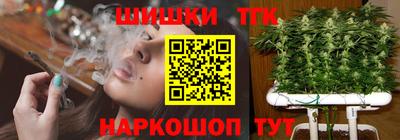spice Гагарин