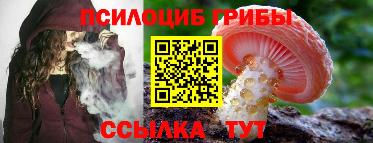 Псилоцибиновые грибы мухоморы  Вход с VPN  Избербаш 