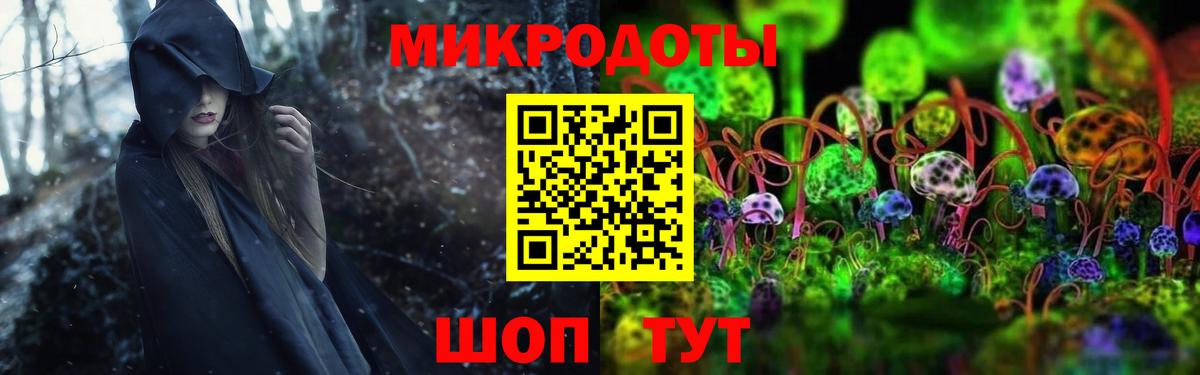 Альфа ПВП Избербаш
